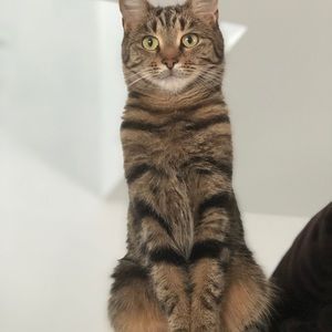 Meet your Posher, Bernadette